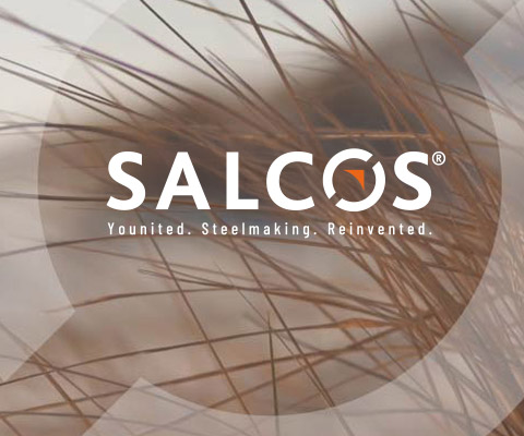 Teasergrid Salcos Video Fallback 480x400px